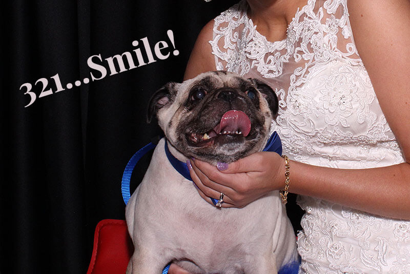 wedding bride with her dog taking pictures at the manor at coffee creek photo booth