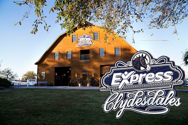 Snap Me Crazy Photo Booth at the express clydesdales in Yukon, oklahoma for a photoboot, props, social media station, unlimited prints, online gallery and video all part of our cheap photo booth rental.